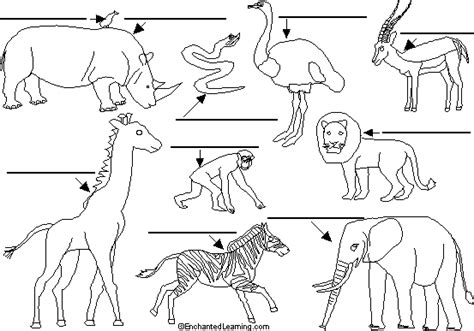 label african animals enchantedlearningcom