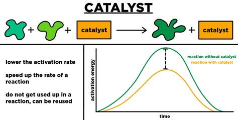 catalysts enzymes overview examples expii