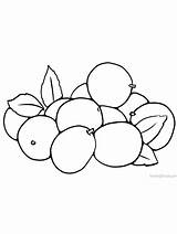 Jujube Fruit Coloring Printable Pages Gaddynippercrayons sketch template
