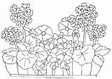 Pages Flowerbed sketch template