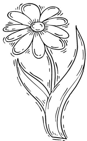daisy flower coloring page supercoloringcom
