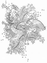 Volwassen Kleurende Vogels Uccelli Coloritura Adulta sketch template