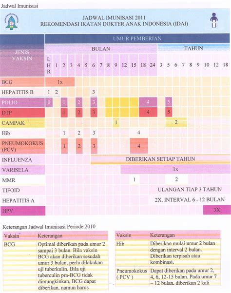 intan risnas jadwal imunisasi  idai