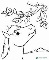 Horse Coloring Printable Pages Below Click sketch template