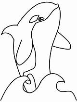 Shamu Coloring Pages sketch template