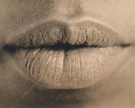 woman s lips stock image p470 0090 science photo library
