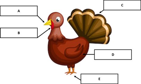 label  parts   turkey grade   printable tests  worksheets helpteachingcom