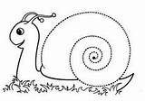 Snail Worksheet Escargot Maternelle Schnecke Schnecken Spirale Coquille Preschoolactivities Graphisme Grafomotricidad Gommette Hojas Gommettes Coller sketch template