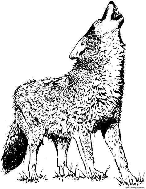 simple cute wolf coloring page printable