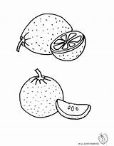 Colorare Agrumi Disegno Disegnidacolorareonline Frutta Arancia Mela Mora Autunnale Cesto Alimenti Limone Quaderno Righe sketch template