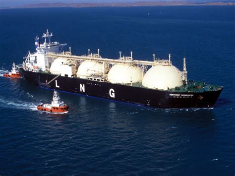 egas launches lng tenders   cargoes egypt oil gas