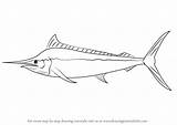 Marlin Draw Drawing Step Fish Drawings Drawingtutorials101 Coloring Silhouette Pages Line Sketches Learn Fishes Tutorials Choose Board Animal Tattoo sketch template