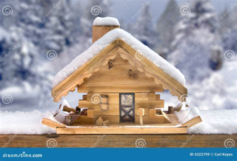 wood project ideas  winter bird house plans