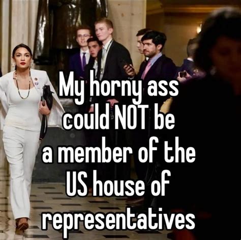 My Horny Ass Could Not Be A Memeber Of The Us House Of Representatives