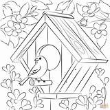 Birdhouse Supercoloring sketch template
