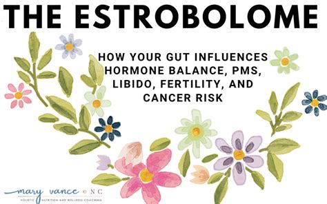 the estrobolome how your gut influences your hormones mary vance nc