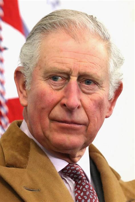 public ready  prince charles   king  family isnt