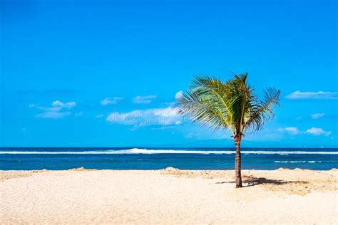 tropical blue sea  small island  palm tree stock image image