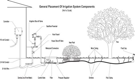 step  design  irrigation system amwua