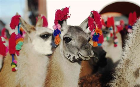 como se celebra semana santa en peru