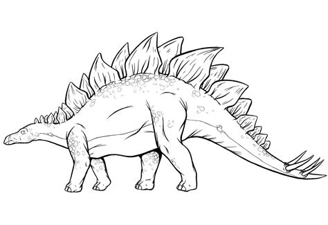 Estegosaurio Para Colorear E Imprimir