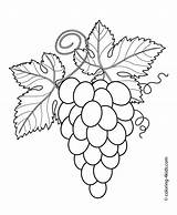 Grapes Trauben sketch template
