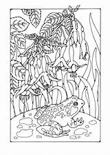 Coloring Frog Fuchsia Pages Frogs Color Edupics Adults sketch template