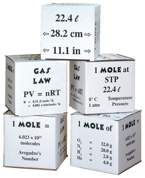mole box mole boxeducation supplies quantity  fisher scientific