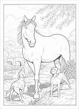 Coloring Haven Horses sketch template