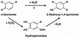 Ijms Figure Hydroxy Hydrogen sketch template
