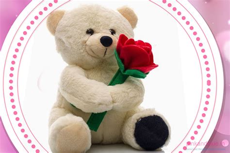 pink and blue happy teddy day whatsapp dp pink and blue