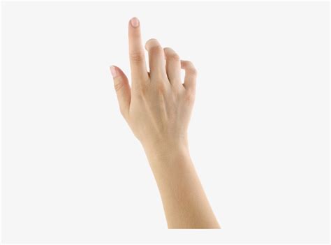 hands hand touch screen png transparent png