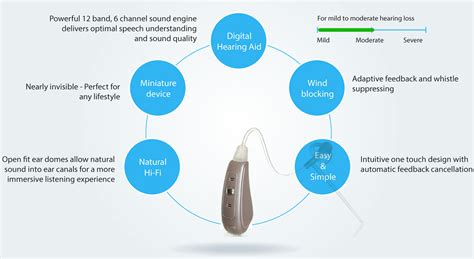 miniature   ear digital hearing aid hd speech hd mic