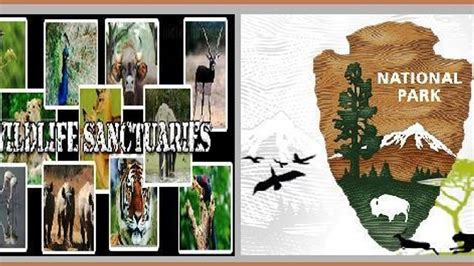 wild life sanctuaries  national parks