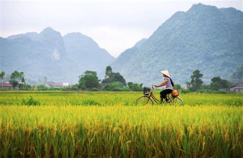 vietnam vietnam economic boom results  local luxury buyers