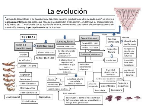 Iesmibiogeoculcien1 Unidad 3 El Origen De La Vida Y La EvoluciÓn