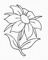 Bunga Mewarnai Yang sketch template