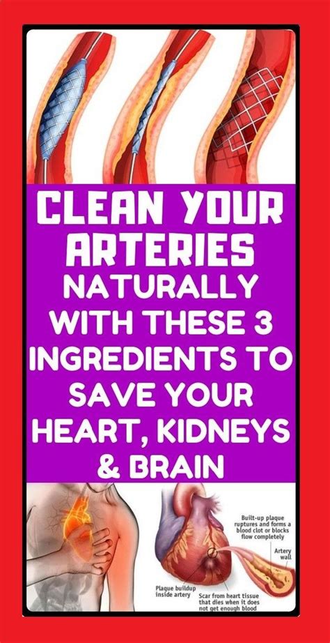 clean  arteries naturally   ingredients  save  heart
