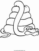 Serpenti Colorat Serpente Schlangen Serpi Schlange Sarpe Desenhos Cobras Snake Desene Zmije Serpientes Animale Planse P20 Serpents Malvorlage Zmija Atenta sketch template