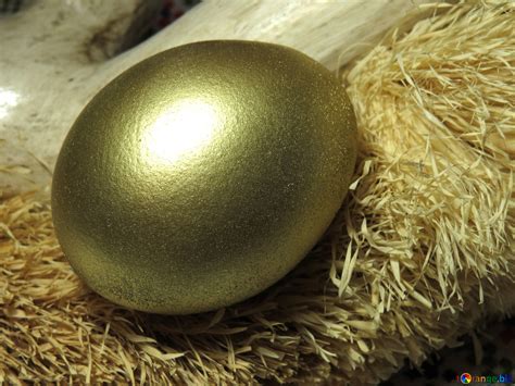 golden egg  image