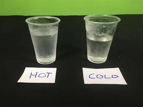 hot water freeze faster  cold water fizzics education