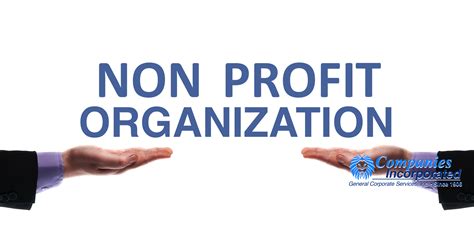 start  nonprofit organization definition examples