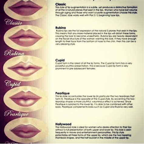 pin by nokkzz amaraporn on aesthetics lip shapes perfect lips lip