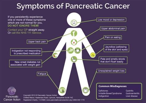 Pancreatic Cancer Pancreatic Cancer Symptoms Kimaja Farwani