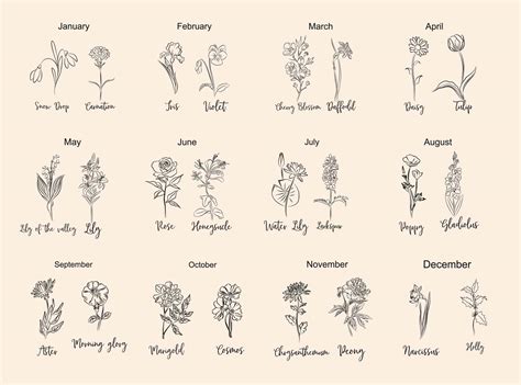 birth flower chart  meanings