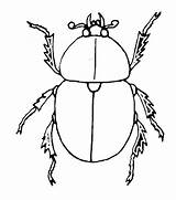 Beetle Insect Stoffe sketch template
