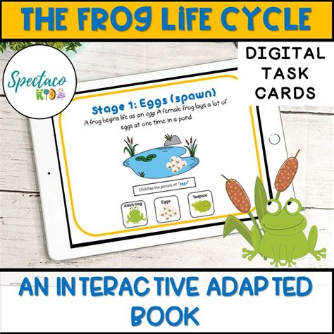 frog life cycle interactive adapted book  special education