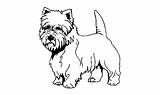 Terrier Pages Cairn Wheaten Coloring Template sketch template