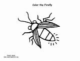 Firefly Coloring Pages Printable Color Getcolorings Pdf Sponsors Wonderful Support Please sketch template