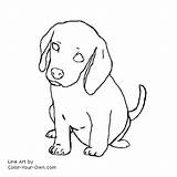 Beagle Coloring Puppy Pages Dog Drawing Color Own Drawings Line Getdrawings Use Kids Patterns Personal sketch template